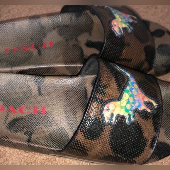 Coach Slide with Signature Rexy Pride edition - Picture 3 of 6